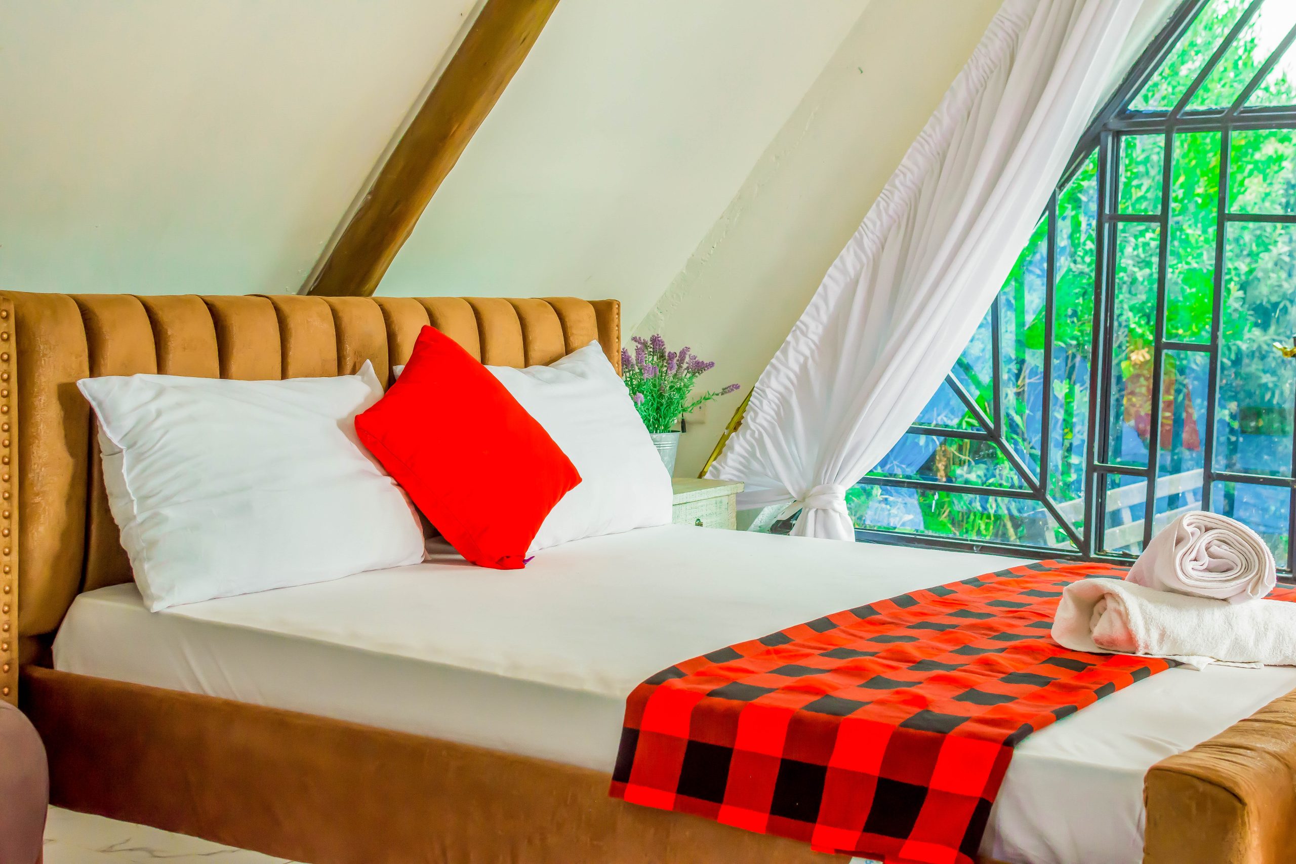 Accommodation & Serene Relaxation